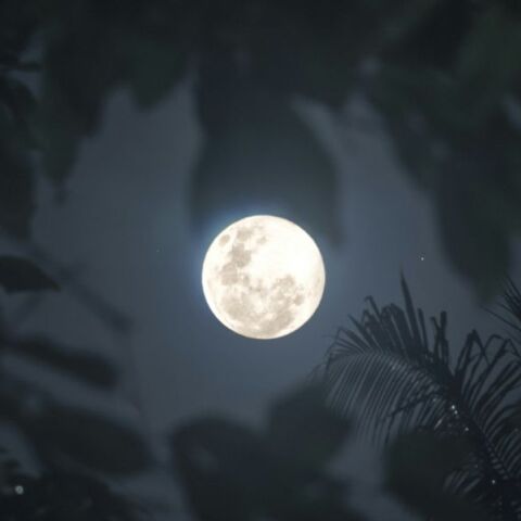 Πανσέληνος Μαΐου 2025: Μετράμε αντίστροφα για το ανοιξιάτικο «φεγγάρι των Λουλουδιών» - Πότε θα το δούμε