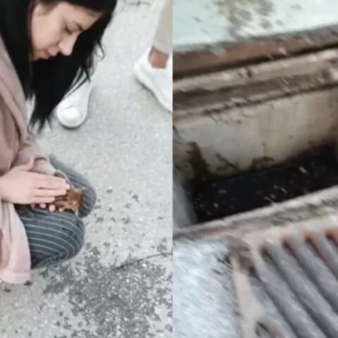 Θεσσαλονίκη: 21χρονη επανέφερε στη ζωή γατάκι που είχε πέσει σε φρεάτιο - Δείτε το συγκινητικό βίντεο