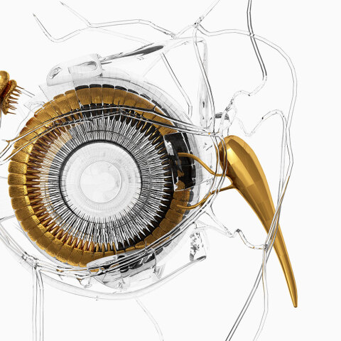 Κώστας Πnγαδάς: Θα ήθελα τα έργα µου να «θεραπεύουν την ανθρώπινη ψυχή»