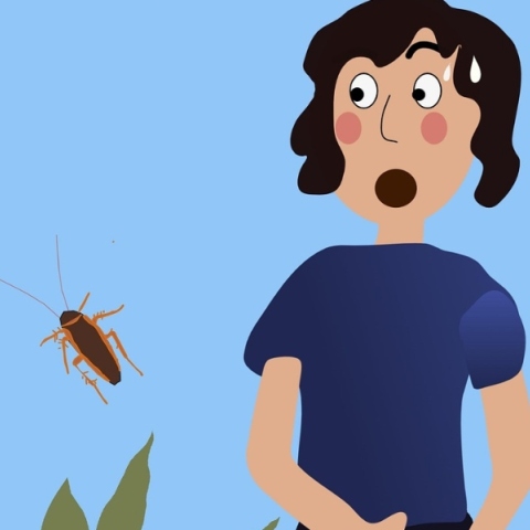 Πώς κρατάμε τις κατσαρίδες μακριά από το σπίτι μας 