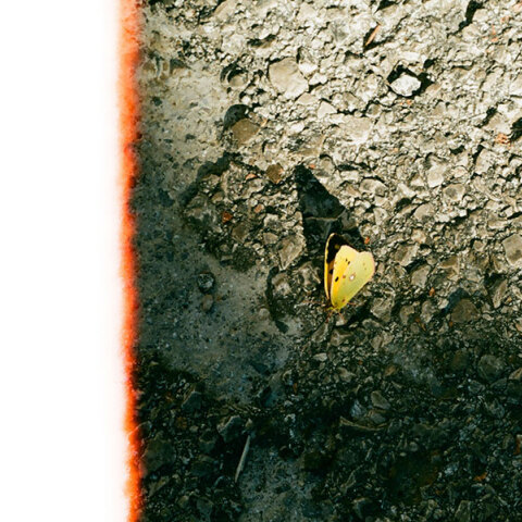 Μάιος: Σημειώσεις για τον τελευταίο μήνα της άνοιξης