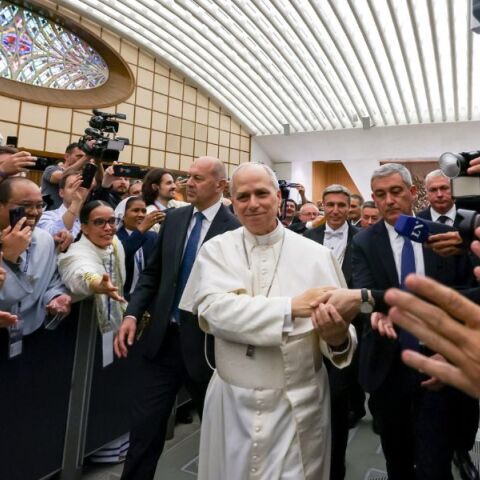 Ο Πάπας Λέων ΙΔ΄ έχει ρίζες από τη Σικελία και την Καραϊβική, αντικατοπτρίζοντας την αμερικανική ιστορία μετανάστευσης και φυλετικής ταυτότητας.