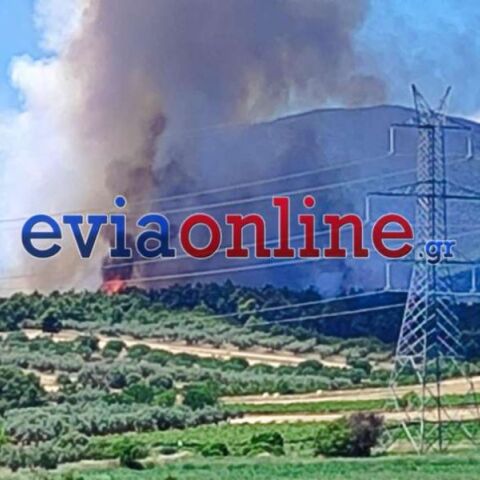 Βελτιωμένη η εικόνα της φωτιάς στη Pιτσώνα - Συνελήφθη 28χρονος που έκανε αγροτικές εργασίες
