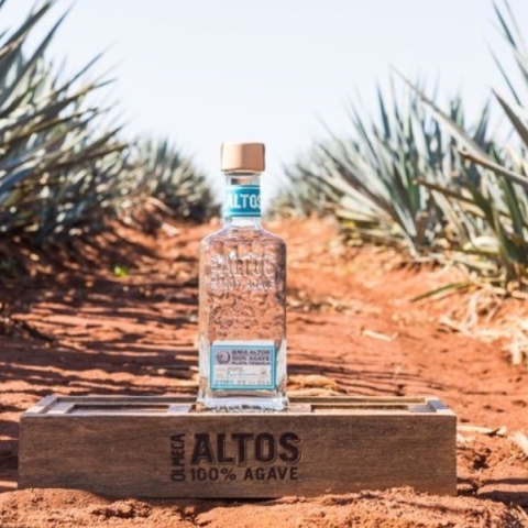Altos Tequila