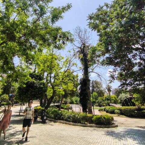 Καιρός: Ζέστη με 30άρια και αφρικανική σκόνη την Πέμπτη