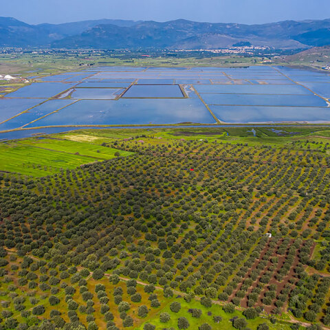 Τι είναι αυτό που κάνει την Λέσβο τόσο ξεχωριστή όσον αφορά τη βιοποικιλότητα της;