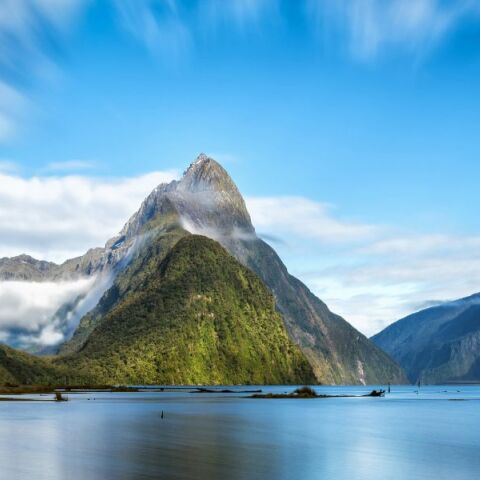 Μαρτυρίες επαναφέρουν το μυστήριο της ύπαρξης άλκης στο Φιόρντλαντ της Νέας Ζηλανδίας, έναν αιώνα μετά την τελευταία επιβεβαίωση.