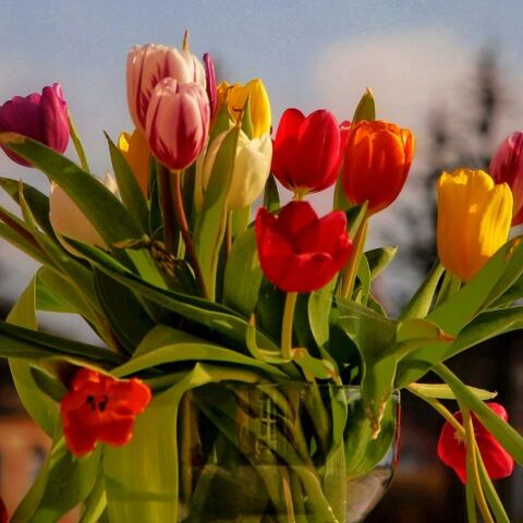 Εορτολόγιο: Σήμερα 26 Μαΐου 2025 γιορτάζει…