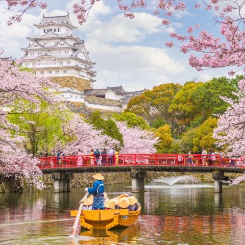 Πτώση τουρισμού στην Ιαπωνία - Ανησυχία για «προφητεία» σεισμού σε μάνγκα προκαλεί μείωση κρατήσεων από χώρες της Ασίας - Αντιδράσεις ειδικών και αρχών