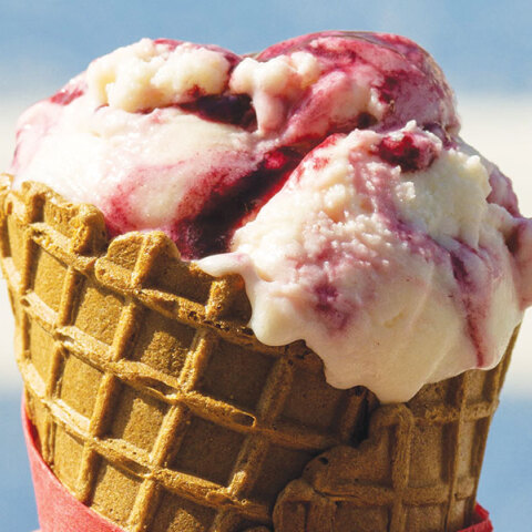 Παγωτά Μπακιρτζή