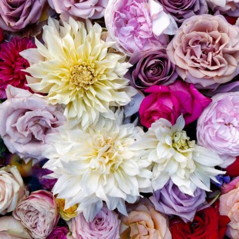 Εορτολόγιο: Σήμερα 29 Μαΐου 2025 γιορτάζει…