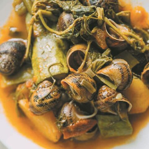 Κατσούρμπος