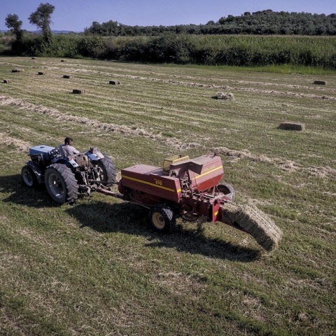 Τρακτέρ οργώνει χωράφι