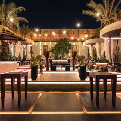 The Ethereal Garden of Botoxe