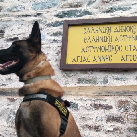 Όσκαρ, ο σκύλος περιπολίας της ΕΛ.ΑΣ. βγαίνει στη σύνταξη - Οι υποθέσεις στις οποίες συμμετείχε