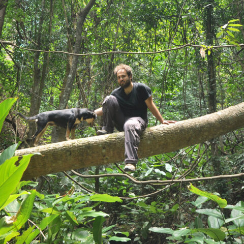 Παύλος Γεωργιάδης