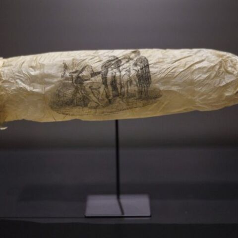 Προφυλακτικό 200 ετών κατασκευασμένο από έντερο προβάτου εκτίθεται σε μουσείο στην Ολλανδία