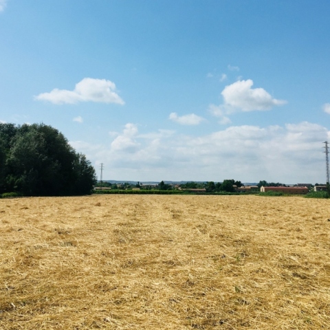 ΟΠΕΚΕΠΕ: Ψεύτικοι βοσκότοποι και το σκάνδαλο των επιδοτήσεων 