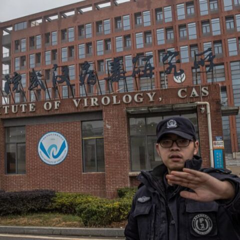 Νέος ιός στην Κίνα «μία μετάλλαξη μακριά» από νέα πανδημία, προειδοποιούν επιστήμονες - Ο HKU5-CoV-2, συγγενικός με τον θανατηφόρο MERS