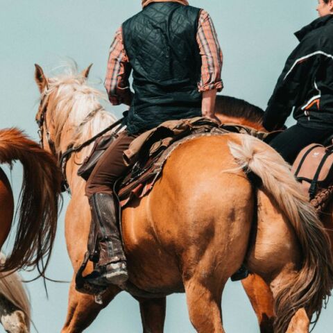 Θεσσαλονίκη: Στη φυλακή εκπαιδευτής ιππασίας - Κατηγορείται για σεξουαλική κακοποίηση ανηλίκων αθλητριών