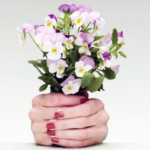 Ποιοι γιορτάζουν σήμερα 9 Ιουνίου 2025; Το εορτολόγιο της Athens Voice σου τους θυμίζει. Μην ξεχάσεις να τους δώσεις τις καλύτερες ευχές σου!