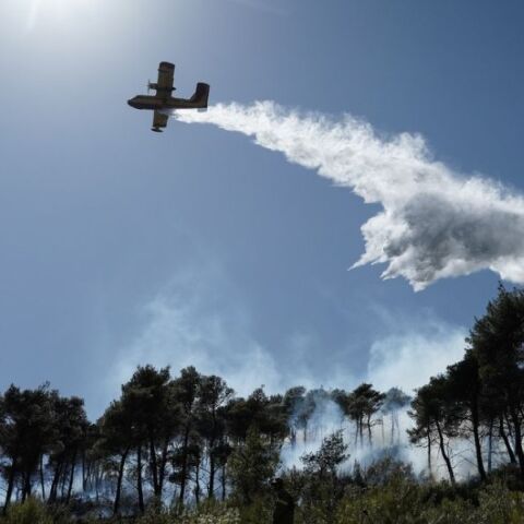 Ο καθηγητής Ευθύμιος Λέκκας προειδοποιεί για την κλιματική κρίση - Στην Αττική έχει χαθεί το 70% του δασικού ιστού - Τι είπε για πυρκαγιές, ξηρασία, πλημμύρες 