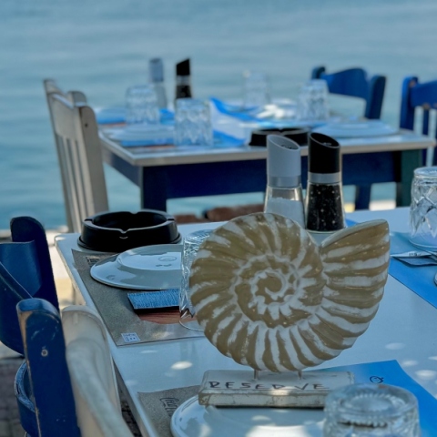 Η Μαρίνα Φλοίσβου, η Ελλάδα ως επενδυτικός προορισμός και η αναζήτηση ευκαιριών.