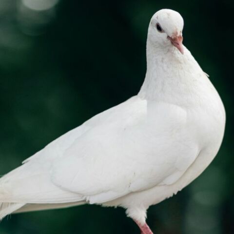 Αγίου Πνεύματος 2025: Πώς θα αμειφθούν όσοι εργάζονται σήμερα