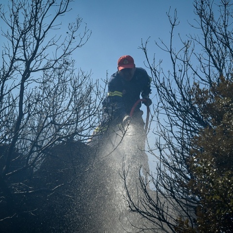 Πυροσβέστης με μάνικα