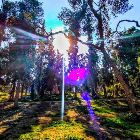 Καιρός: Ξηρός και επικίνδυνος ο Ιούνιος -  Έρχονται μελτέμια, αυξάνεται ο κίνδυνος για πυρκαγιές