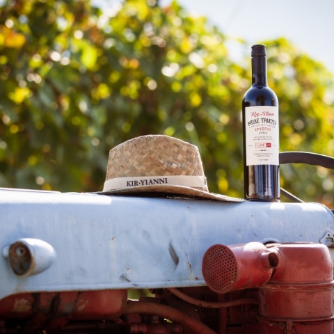 Μπλε Τρακτέρ