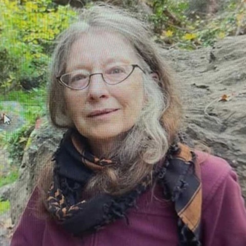 Μικέλ Πέλεκ