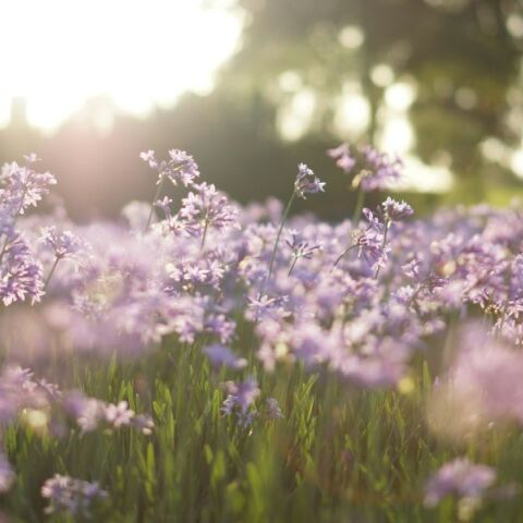 Εορτολόγιο: Σήμερα 12 Ιουνίου 2025 γιορτάζει…