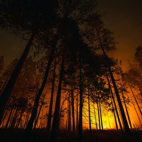 Εικόνα απί τις πυρκαγιές στην Καλιφόρνια