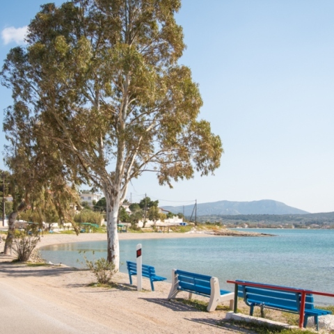 Σαλαμίνα: Εκδρομή στο μεγαλύτερο νησί του Σαρωνικού που αξίζει να επισκεφτείς το καλοκαίρι.