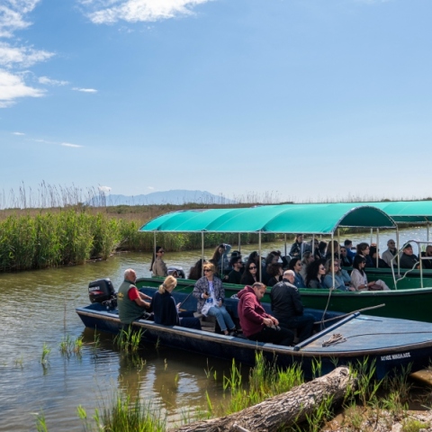 Δέλτα Έβρου 