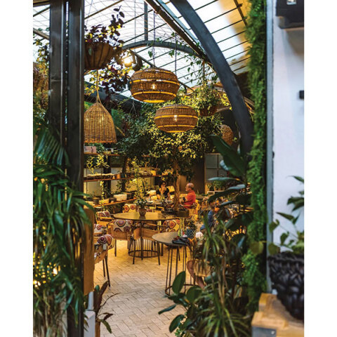 Λεύκες on the side