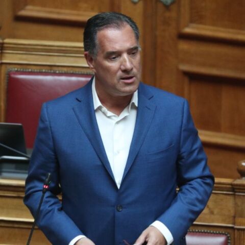 Άδωνις Γεωργιάδης 