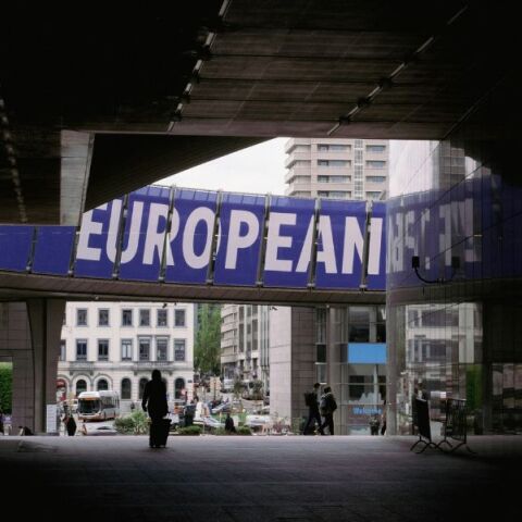 Καπιταλισμός, Δημοκρατία και Κράτος Δικαίου