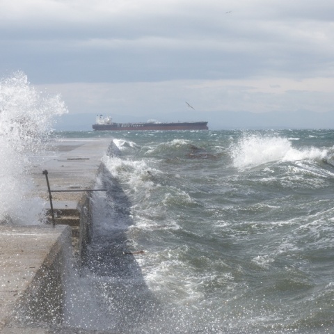 Μποφόρ στην παραλία της Θεσσαλονίκης
