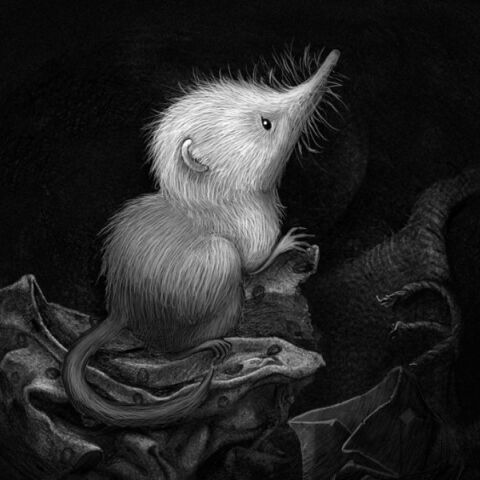 Η Κέιτ Μπους κυκλοφορεί την ταινία κινουμένων σχεδίων Little Shrew - Με θέμα ένα μικροσκοπικό θηλαστικό σε μια εμπόλεμη πόλη - Θα προβληθεί στις 24 Ιουνίου 