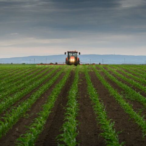 Τι πραγματικά συμβαίνει με το πρόστιμο των 415 εκατ. ευρώ στον ΟΠΕΚΕΠΕ