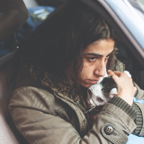 Διπλή ταυτότητα