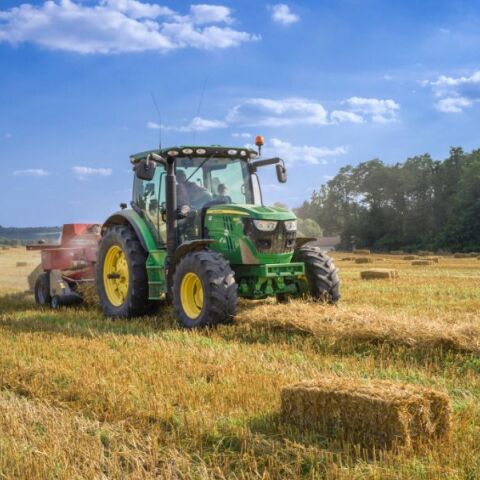 Εθνικός θρίαμβος! Πρωταθλητές Ευρώπης στην κλοπή! 