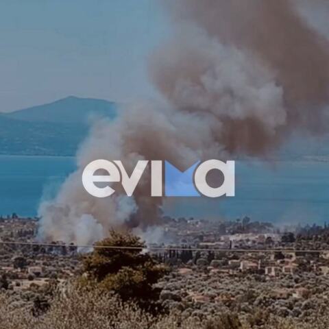 Υπό μερικό έλεγχο η φωτιά στην Ερέτρια - Ξέσπασε κοντά σε εξοχικές κατοικίες