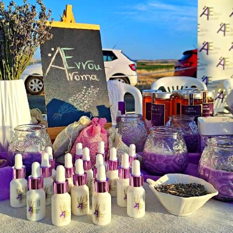 Φεστιβάλ Λεβάντας, Έβρος