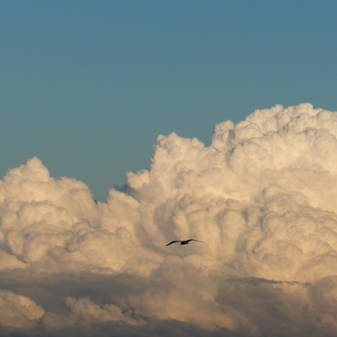Νέφη Cumulonimbus 