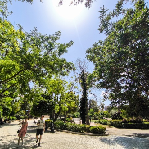 Ηλιοφάνεια