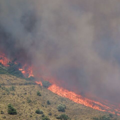Πύρινη κόλαση στη Χίο: Καίγεται η Μονή Αγίου Μάρκου - Μπαράζ μηνυμάτων από το 112 για εκκενώσεις