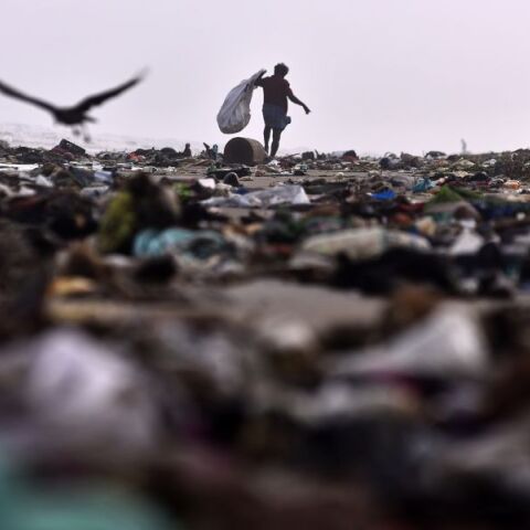 Πλαστικά μπουκάλια μετατρέπονται σε παρακεταμόλη με τη βοήθεια βακτηρίων E. coli, σε μια πρωτοποριακή και βιώσιμη μέθοδο παραγωγής φαρμάκων.